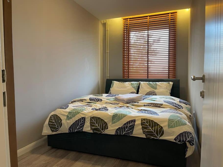 Idealapartments Llc 4 Priştine Dış mekan fotoğraf